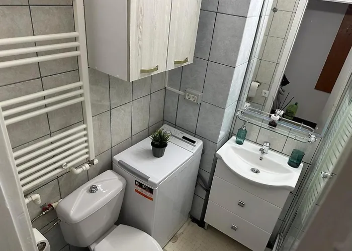 Affordable 1br In Downtown Apartament